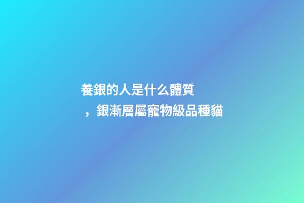養銀的人是什么體質，銀漸層屬寵物級品種貓
